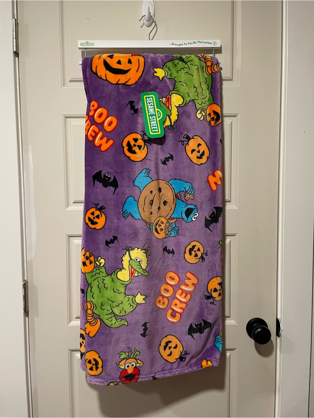 Sesame Street "Boo Crew" Halloween Plush Throw - Purple